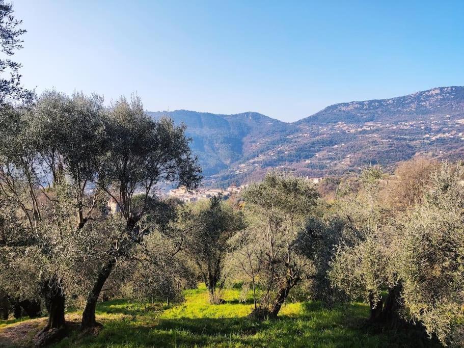 Bas De Villa. Cote D'Azur, A 20 Kms De Nice Contes  エクステリア 写真