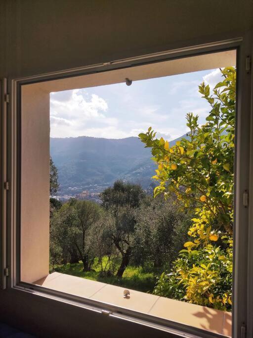 Bas De Villa. Cote D'Azur, A 20 Kms De Nice Contes  エクステリア 写真